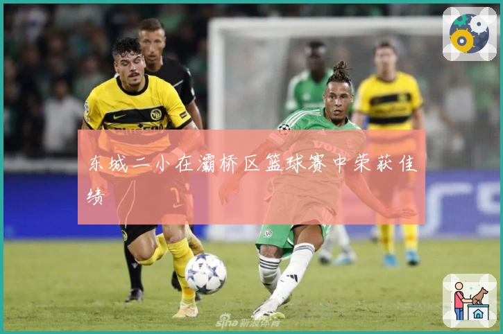 东城二小在灞桥区篮球赛中荣获佳绩