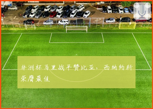 非洲杯马里战平赞比亚，西纳约科荣膺最佳