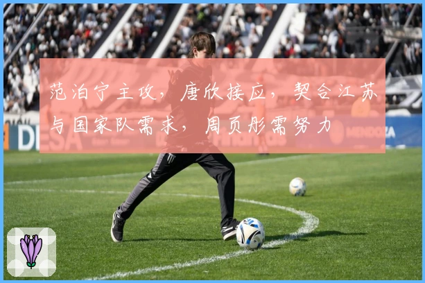 范泊宁主攻，唐欣接应，契合江苏与国家队需求，周页彤需努力